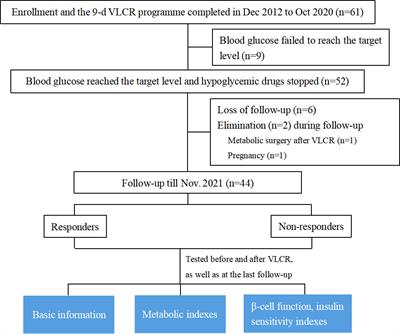 Long-term remission of type 2 diabetes after very-low-calorie restriction and related predictors